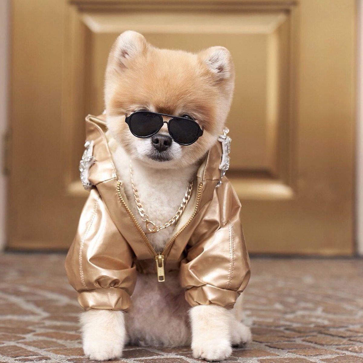 I didn’t choose the Rock Star life the Rock Star life chose me 💵

#rockstar #ootdfashion #beverlyhills