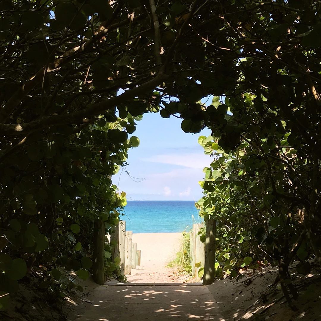 DiscoverMartin's tweet photo. Have you found your magic portal to #StuartBeach? IG user @ashleycast found hers! Head to Martin County and discover a naturally quaint paradise today. #DiscoverMartin https://t.co/J2iV9fOzii
