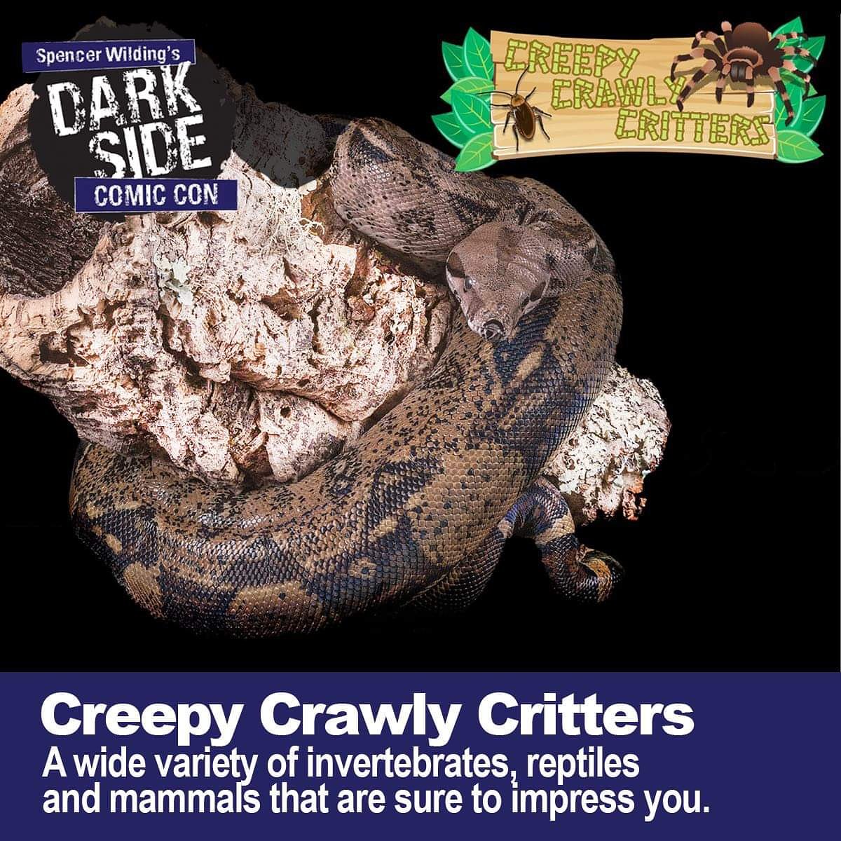 CrawlyCritters's tweet photo. What a great event to be bringing to Prestatyn!

Come and see everything the event has to offer, this Saturday at the Ffrith in Prestatyn!

#Prestatyn #NorthWales #NorthWalesTweets #Denbighshire #AnimalEncounters #CreepyCrawlyCritters https://t.co/B9TiyHO2Tt