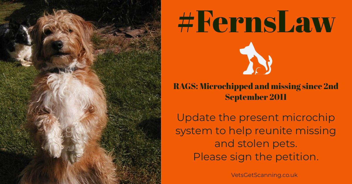 VetsGetScanning's tweet image. My vet told me if Rags was sittings under her missing poster in the waiting room, he still wouldn’t scan and check her microchip registration!  Rags microchip is my only hope of seeing her again 💔 Pls sign #FernsLaw petition chng.it/hxW952ry