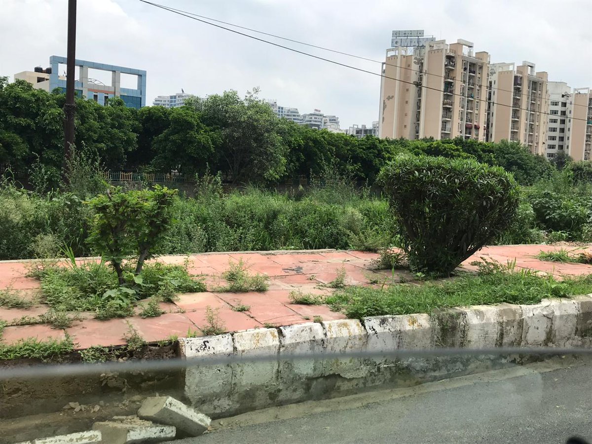 Rwa93b's tweet photo. Dear Authority, this is the condition of service road around Sector- 93B. Pls take into consideration.. @noida_authority https://t.co/8htPygrKfz