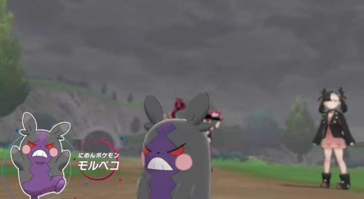 グレート ポチ魔 たまにリプ 確認した新ポケモン モルペコ 天使と悪魔の2面性か ガラルのピカチュウ枠 カロスでは デデンネ アローラではミミッキュ トゲデマルは違う ガラルではモルペコ ピカチュウ人気だねぇ ポケモン ソードシールド