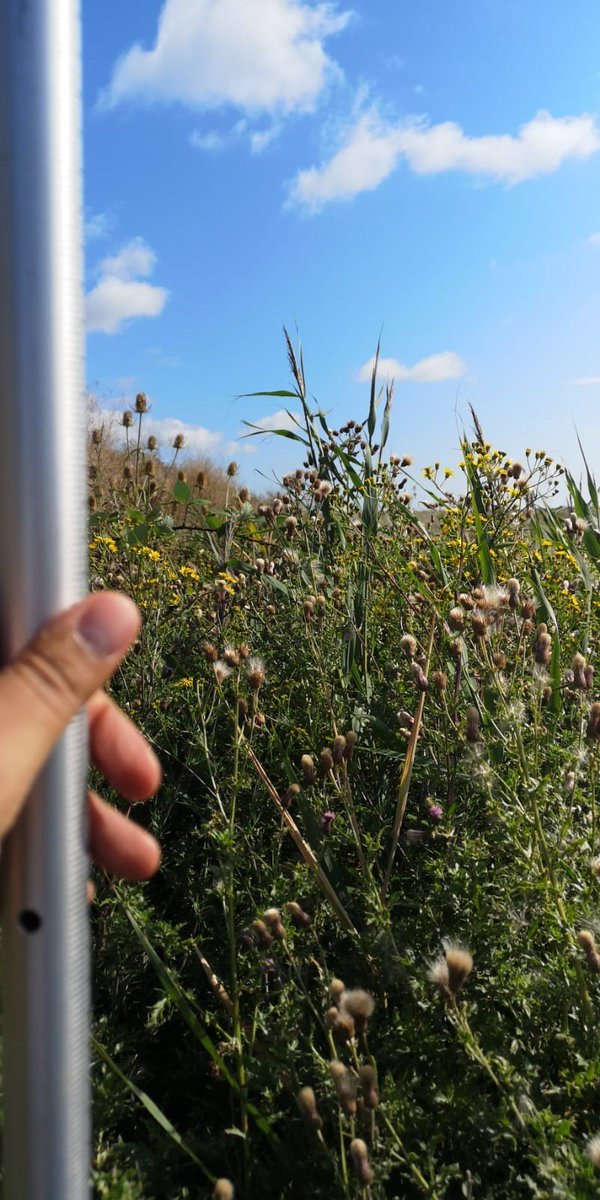 Challenging surveying conditions today.....#Iken #Surveying #Survey #Topographicsurvey #surveyors #landsurvey #RMS