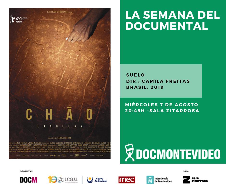 DocMontevideo tweet media