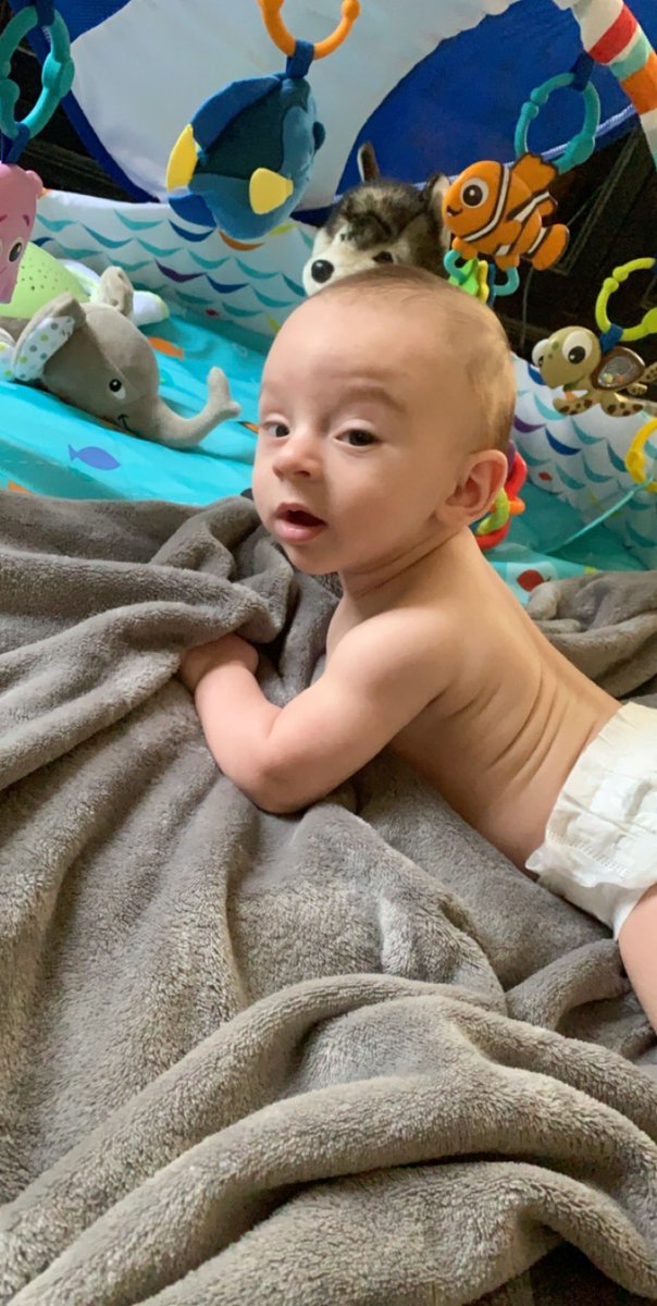 lyndsgf1's tweet photo. He gets these looks from his mom https://t.co/X1hydHbbvI