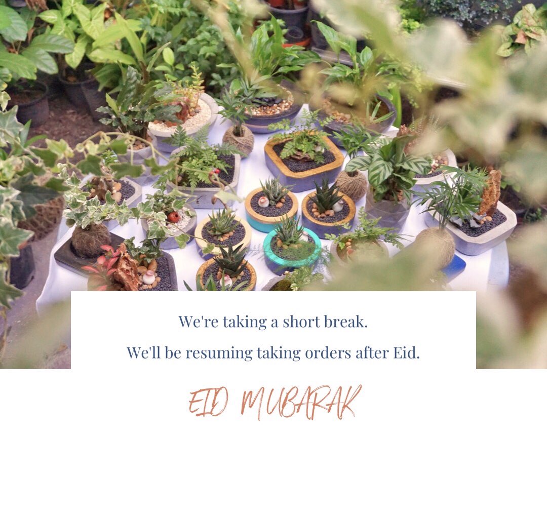 DarogaMv's tweet photo. Hope you all have a wonderful Eid!
😊😊😊
#Darogamv https://t.co/9A1rW6LX2N