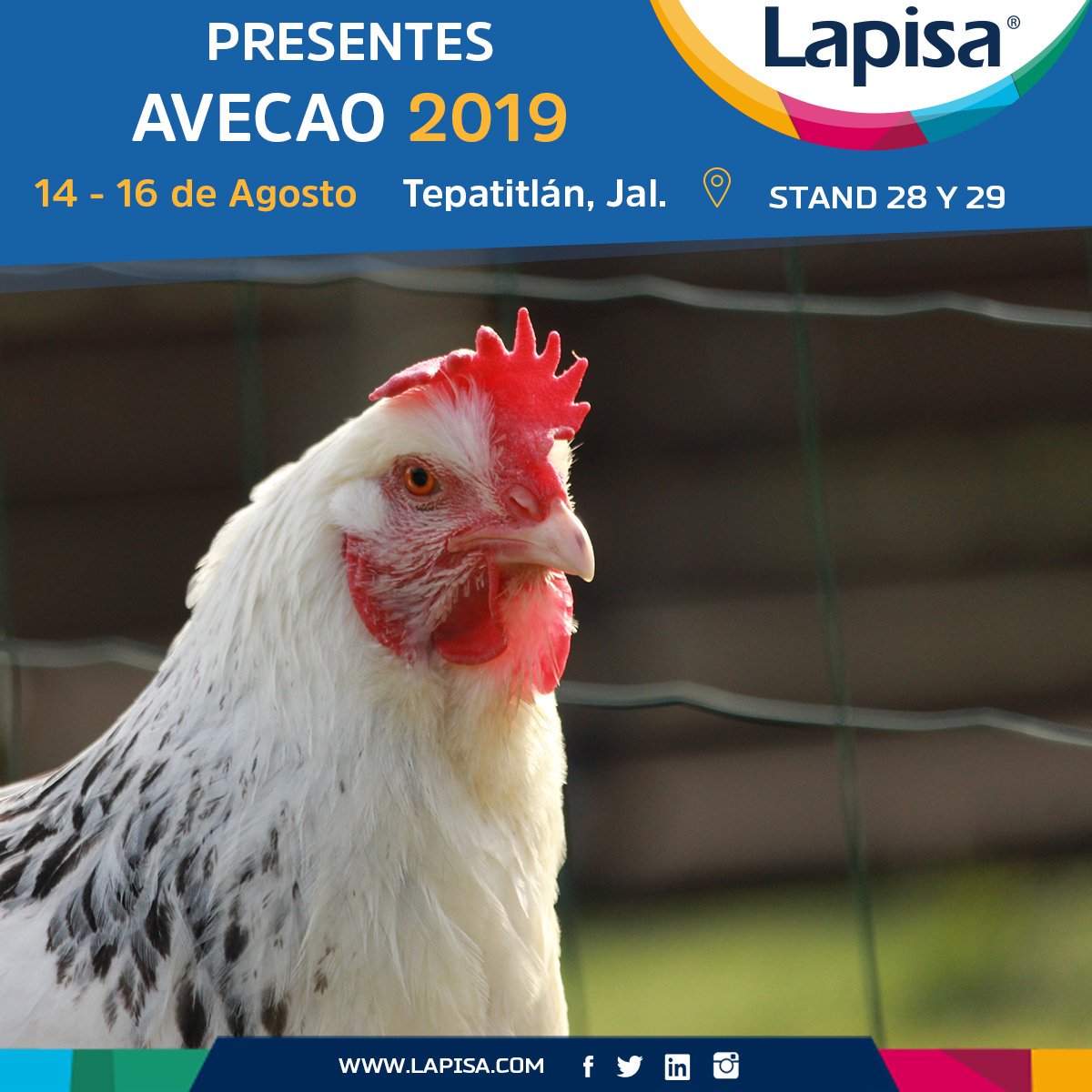 Lapisa tweet media