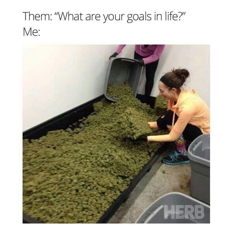 MomsTokin's tweet photo. Yes, this is me. lol 
#weed #cannabis #cannabiscommunity #weedporn #marijuana #thc #weedstagram #cbd #stoner #kush #cannabisculture #ganja #maryjane #smoke #hightimes #highlife #dank #indica #life #high #sativa #smokeweedeveryday #dabs #highsociety #medicalmarijuana #stoned #hemp https://t.co/y8eKEj0pCb