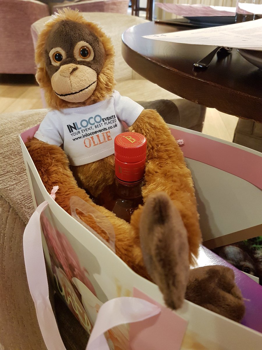 ollie_Inloco's tweet photo. Had a great time @ArdenHotel with the team doing lunch and seeing clients. Thank you to the hotel for looking after us so well. #orangutan #hotel #venue #4thmember https://t.co/xlnh76j24v