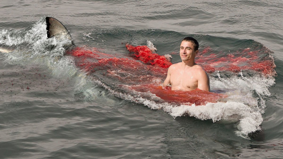 TheOnion's tweet image. Being Eaten Alive By Shark Not Nearly As Terrifying As Man Had Imagined trib.al/7ttGaby