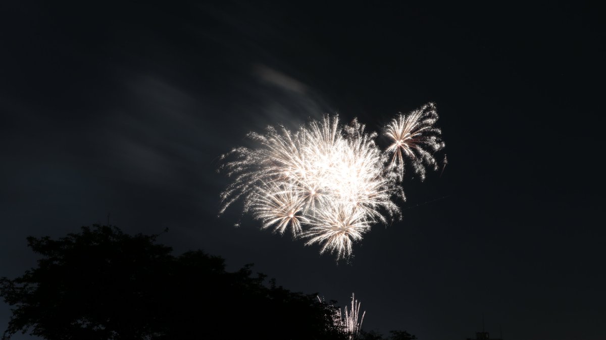 狛江市花火大会