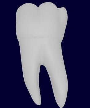 TootyVr's tweet photo. #TootyVR : anatomie des dents en #VR #dentalstudent #anatomie #medecine https://t.co/UnnYJvm8Dc