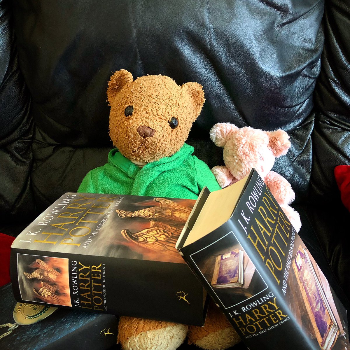 rex_the_bear's tweet photo. Spending the afternoon reading with my friend Piggle 😊🐻

#rexportion #rexthebear #teddybear #teddy #bear #plushiecommunity #plushie #plushielife #reading #harrypotter https://t.co/5lHBUhMwkV