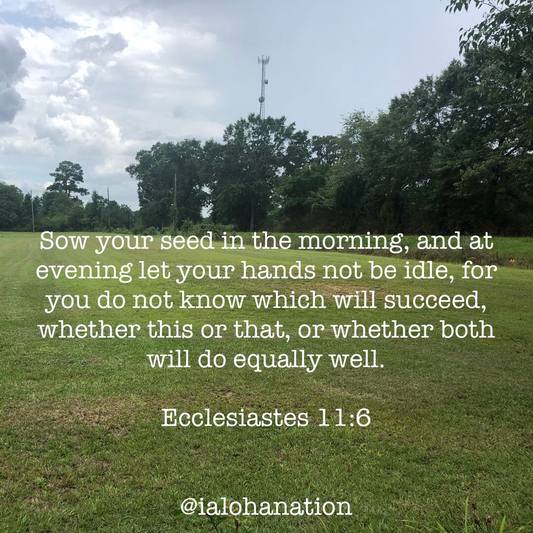 ialohanation's tweet photo. Not everything in your life shows up when it is sown. Something you are calling a failure right now may be the seed of your greatest success! Hau’oli Po’akolu ☀️☀️☀️
📷: @0neSweetLeilani 

#SeedsofSuccess
#WednesdayMotivation 
#HauoliPoakolu
#WeAreTheNation
#iAlohaNation 🌎 https://t.co/y2g1cSy4T4
