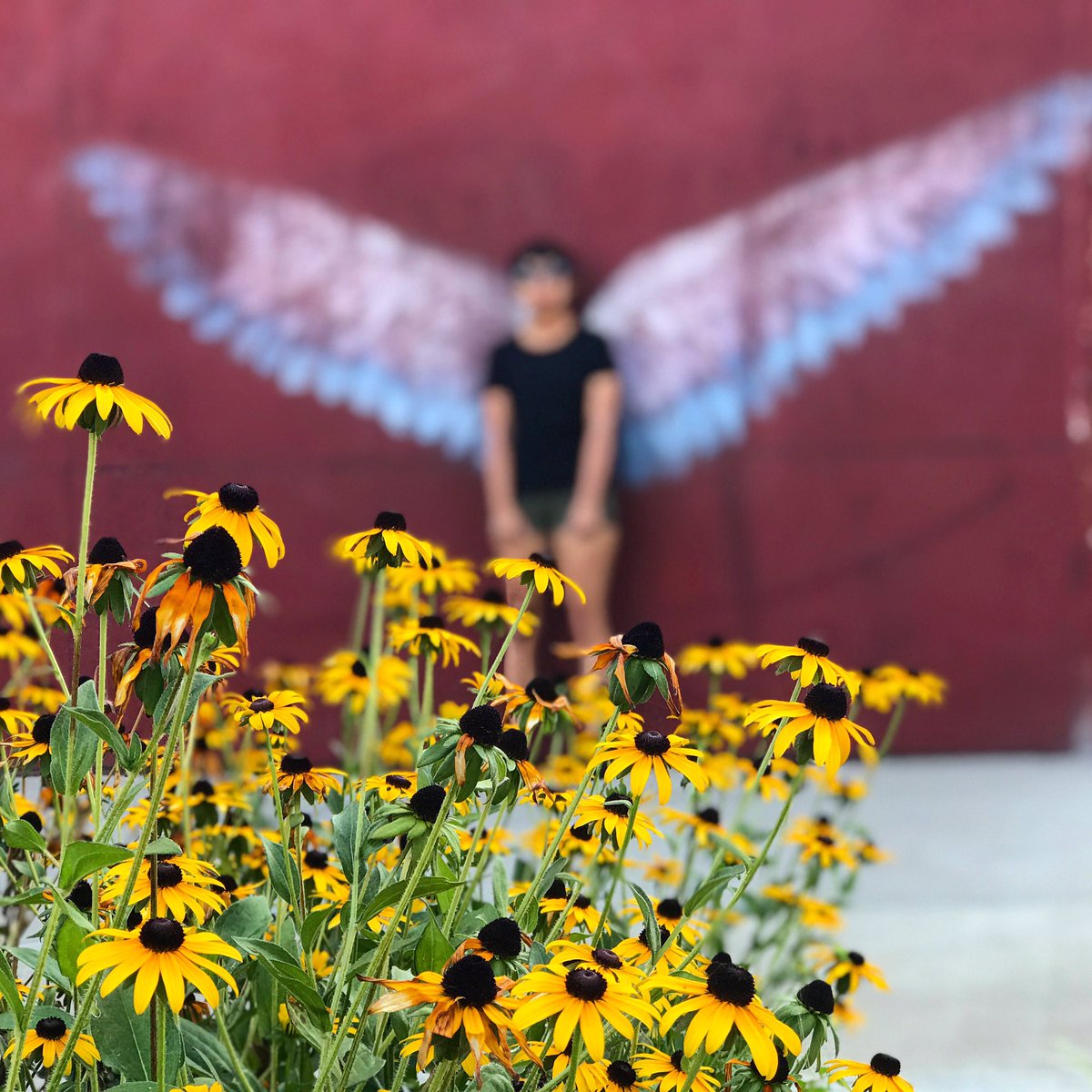 karynlocke's tweet photo. Where are all my #Hamilfans ? Having such a gorgeous morning checking out the murals in Hamilton, OH, and @GetToTheBC ! Can’t help but hum @Lin_Manuel’s opening song in @HamiltonMusical while checking them out! 🎶 #BCInspired #GetToTheBC #ohiofindithere @OhioFindItHere #tbin https://t.co/545OwA3tUt