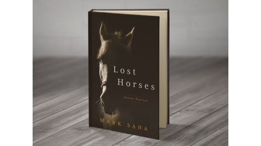 book_tribe's tweet photo. • Seven compelling tales of the American heartland. “There is a great variety of characters and situations, and the writer knows exactly how to bring them to life.” – Goodreads #bookshout #bestseller https://t.co/KGkF9zLba0 https://t.co/OAYJygp5R2