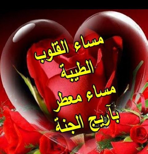 @arjwana__26 @Nahar51812148 @Za44440 @nada1996_2