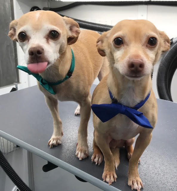 Acts Crating has all of your pick-up, packing, crating and shipping covered so you can focus on your business!  We have your back!  actscrating.com  713-869-2BOX #heights #houston #crating #shipping