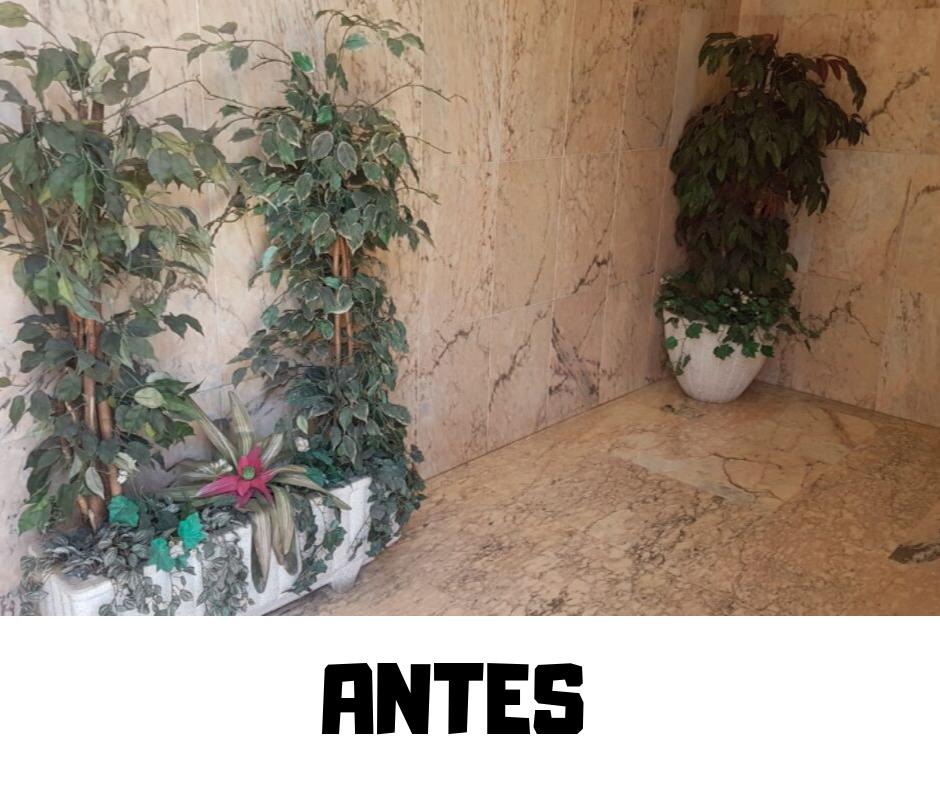 FloresStaMaria's tweet photo. 💚💚PORTAL RENOVADO

Finalizado trabajo para la renovación de las plantas de tres portales.
Os enseñamos como ha quedado el primero¡¡
Todo en planta artificial de gran calidad y lavable🌲🌴🌿🌳

Y lo mejor: por menos de lo que imaginas
Pide presupuesto SIN compromiso 📌

#leonesp https://t.co/6P8mHpDqFY