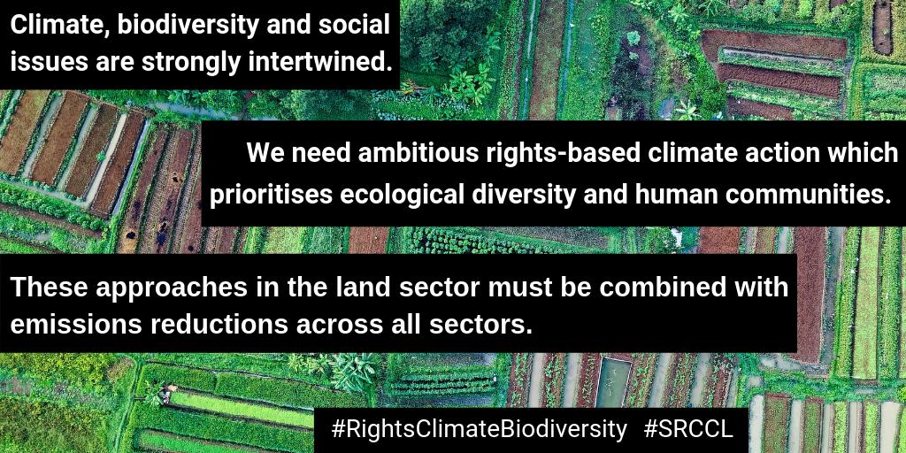 CLARA_Alliance's tweet image. IPCC Special Report on Land has been approved, will be released tomorrow.  CLARA members and the forest and farming communities we work with await its release – with high hopes and expectations.  #SRCCL   #MissingPathways   #NatureBasedSolutions