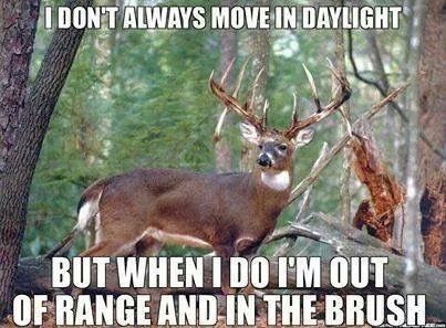 DeerGearTV's tweet image. Tell me about it!
#whitetailwednesday #huntingproblems #hunting