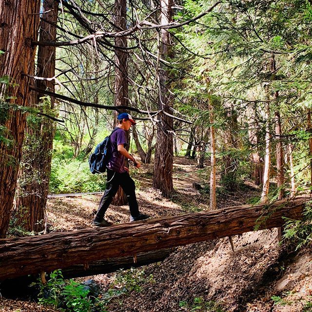 jorgstyle's tweet photo. Just a kid exploring the wilderness. 🚶🏻 #sandiegohiking #sandiegolife #sandiegohikes #hikesandiego https://t.co/wj1Zg1Cd0W https://t.co/IB4b3ObYc0