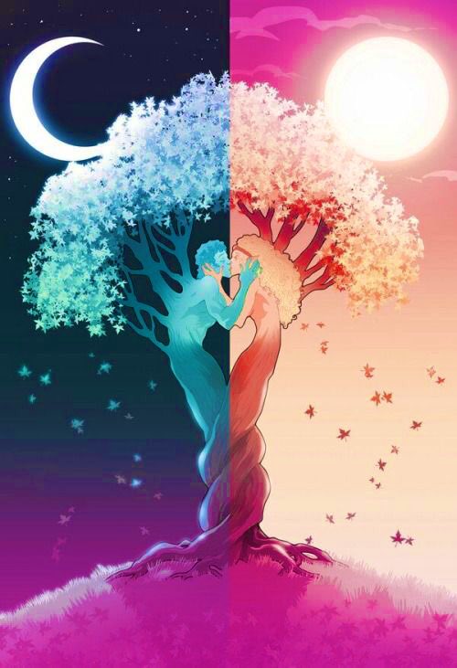 ERA_IAM's tweet photo. @elonmusk - Ethereal Journey 💖 I also cannot stop listening to this song Elon ... thank you beloved 💖 I love you my boy my kitty lion 💘🔥🔥♥️♥️🤗#lovefromthefirstsight #twinflamesjourney #onelove #EI Bouquet Of Dreams) HD https://t.co/7hdUjO6ICl via @YouTube https://t.co/68Aeqz8VIE