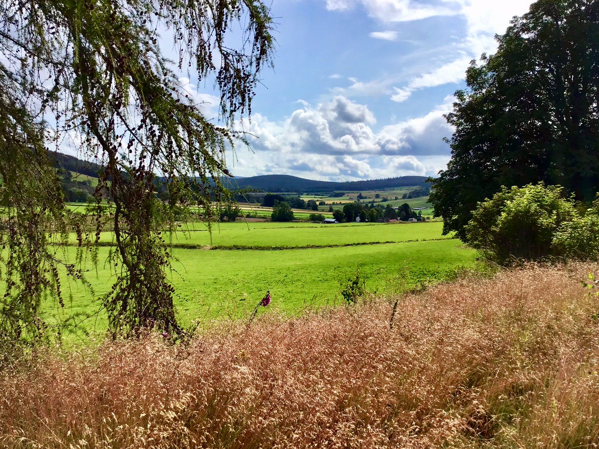 TheMackWalks's tweet photo. Yesterday, Strathdon💙#walking #hiking #UpperDonside #Aberdeenshire #visitABDN https://t.co/QjipDJbyJ7