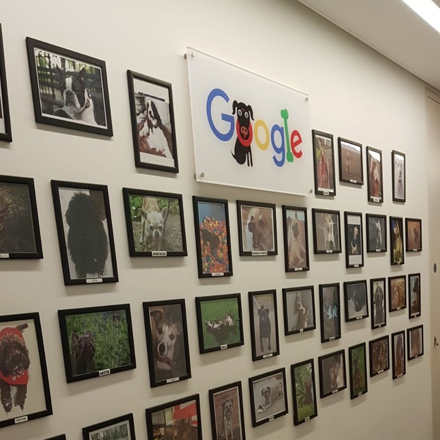 naqib_qazi's tweet photo. Great to meet with @GoogleUK today to discuss audiences & data, #GA360 integration with #analytics360 suite and @GMktgPlatform, combining GA/3rd party data sources in #bigquery, data & cookie privacy and more.
#DigitalMarketing #DataPrivacy #CCPA #GDPR https://t.co/U9pBVVGWMP