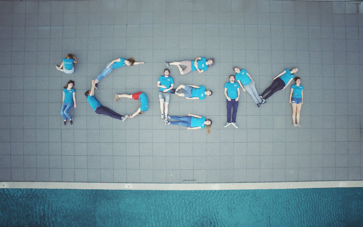 Stay tuned... 

#igem #igem2019 #biology #syntheticbiology #immunology #science #erlangen #germany #fau