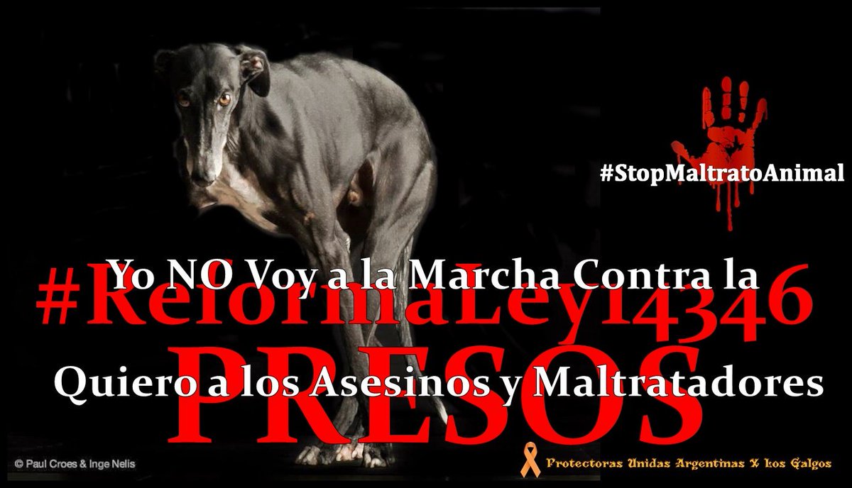 ProtectorasUnidasArg (@protectorasu_ar) on Twitter photo No formamos parte de ninguna manifestación que afecte a los ANH @14_346 <a href="/Lipovetzky/">Daniel Lipovetzky</a> <a href="/mabyburgos/">Gabriela Burgos</a> <a href="/mgwechsler/">Marcelo Wechsler</a> <a href="/pavesioluis/">Luis Pavesio</a> <a href="/soyleomontero/">Leo Montero</a> @valeriaschapira @LFruitos <a href="/LiberaONG/">LIBERA! - Asociación Animalista</a> <a href="/notiambientales/">Noticias Ambientales 🌳</a> <a href="/todonoticias/">TN - Todo Noticias</a> <a href="/elperrourbano/">El Perro Urbano</a> <a href="/clarincom/">Clarín</a> <a href="/CanalCiudadBA/">Canal de la Ciudad</a> @AlertaGalgo <a href="/ALERTA_VERDE/">ALERTA VERDE</a> No formamos parte de ninguna manifestación que afecte a los ANH @14_346 <a href="/Lipovetzky/">Daniel Lipovetzky</a> <a href="/mabyburgos/">Gabriela Burgos</a> <a href="/mgwechsler/">Marcelo Wechsler</a> <a href="/pavesioluis/">Luis Pavesio</a> <a href="/soyleomontero/">Leo Montero</a> @valeriaschapira @LFruitos <a href="/LiberaONG/">LIBERA! - Asociación Animalista</a> <a href="/notiambientales/">Noticias Ambientales 🌳</a> <a href="/todonoticias/">TN - Todo Noticias</a> <a href="/elperrourbano/">El Perro Urbano</a> <a href="/clarincom/">Clarín</a> <a href="/CanalCiudadBA/">Canal de la Ciudad</a> @AlertaGalgo <a href="/ALERTA_VERDE/">ALERTA VERDE</a>