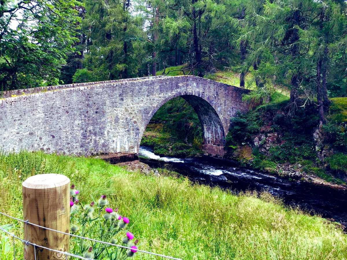 TheMackWalks's tweet photo. Yesterday, Strathdon💙”Green wids haud the braw capercaillie, far boughs sieve the sun” #walking #hiking #UpperDonside #Aberdeenshire #visitABDN https://t.co/l3vBRbYPW0