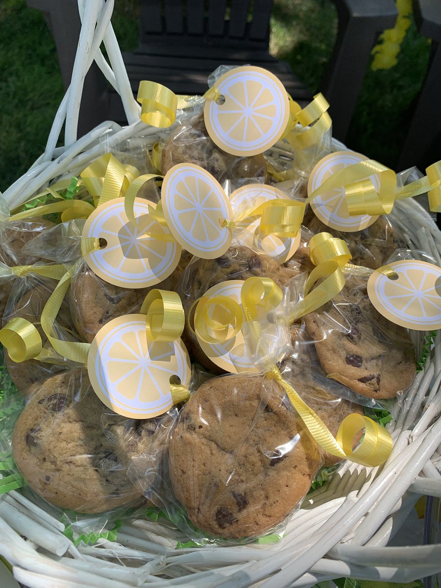 dutchdan118's tweet photo. Last weekend my family and I raised $1465 for @AlexsLemonade with our little #brewsterlemonadestand.  Thank you to our family, friends and neighbors for your generosity 💕 (Alex’s Lemonade Stand Foundation funds pediatric cancer research ) https://t.co/onoUA1XIU8