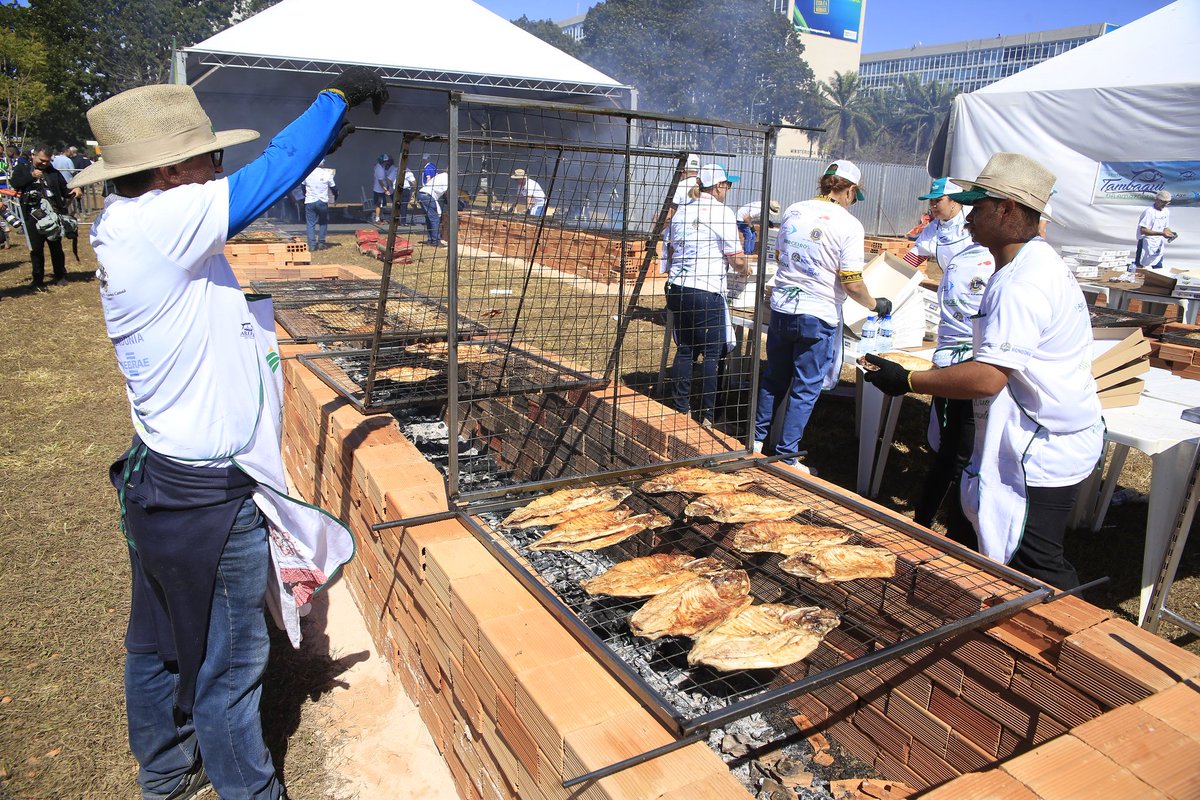 TerezaCrisMS's tweet photo. Hoje teve Festival Tambaqui da Amazônia na Esplanada. 6 toneladas de tambaqui foram assadas.A ideia do festival é estimular o consumo de pescados no país e também tornar mais conhecido o peixe amazônico. Importante oportunidade p/mostrar o potencial da aquicultura e pesca. https://t.co/YB8X4G24H9