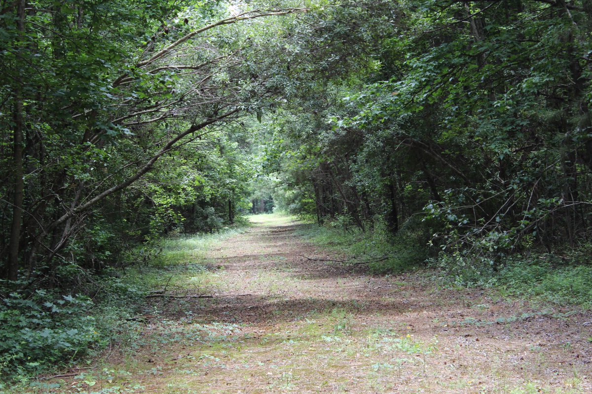 TrueSouthProp's tweet image. Call Today!  We have some top notch hunting land listed!