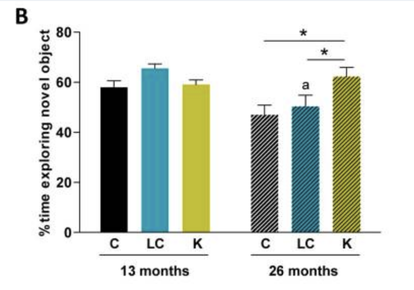 ketogenic diet and cognitive performance nih