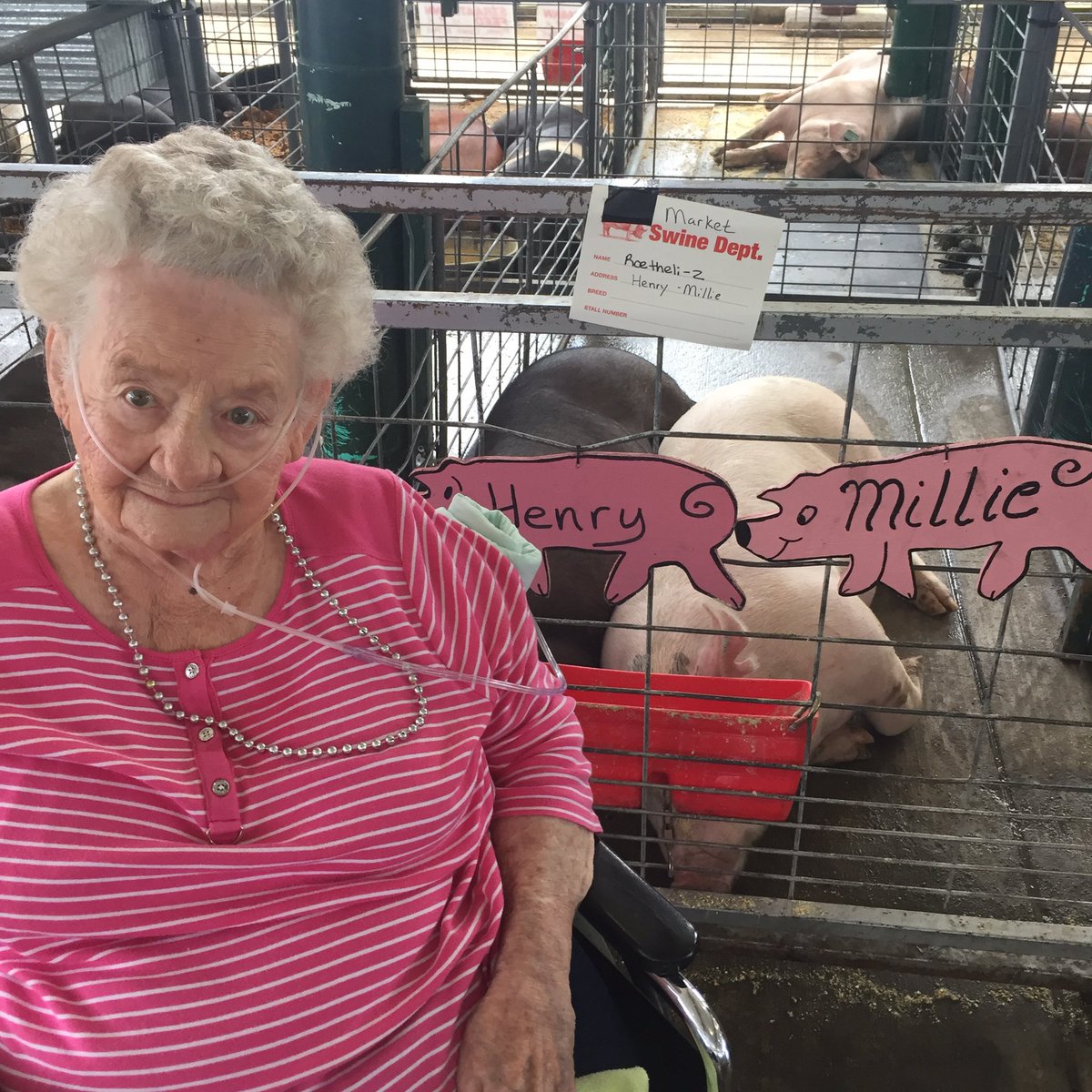 annbolzenius's tweet photo. Mom enjoying #cheersto90years at #washmofair.  Still Fair going at 96 years young! https://t.co/vduekxyBb7