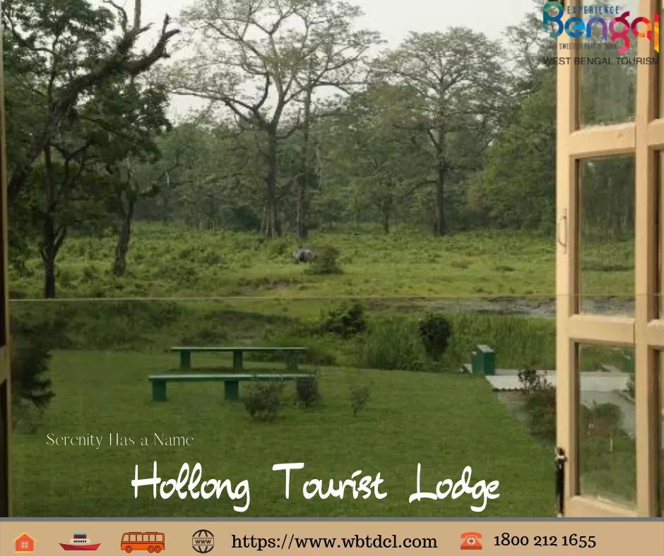 wbtdcl's tweet photo. Greenery all around.sense of calm.sense of serenity and a place where you can unwind
All of these have a name - Hollong.
Come and spend some time with yourself
#beautifulbengal #travelbengal #tourismbengal #gobengal #experiencebengal #bengalbeckons #Bengal #WBTDCL #wbtdc #Rishyap https://t.co/UenkAL0kX0