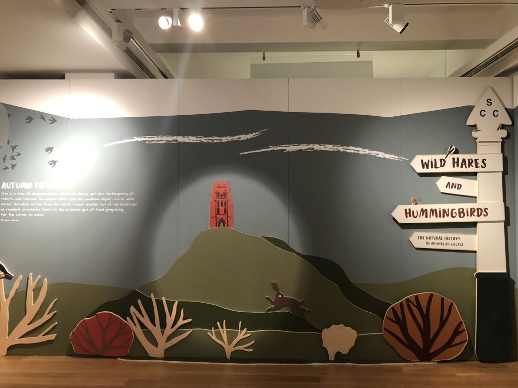 AmalKhreisheh's tweet photo. Popped over to @SomersetMuseum for a proper look round our two temp exhibitions. Wild Hares and Hummingbirds is inspired by @StephenMoss_TV’s book about the natural history of the village of Mark. Illustrations by @ScoleDESIGN. #WildSomerset #SWHTDiscovery #SouthWestHeritageTrust https://t.co/xf5fLDrW18