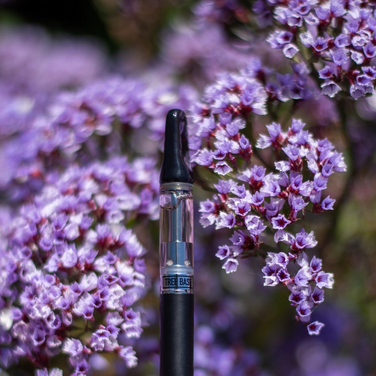 TreeBaseKlear_'s tweet image. Be different. Be original. – Nobody will remember a specific flower in a garden filled with thousands of the same yellow flower, but they will remember the one that managed to change its color to purple. #THEDIFFERENCEISKLEAR