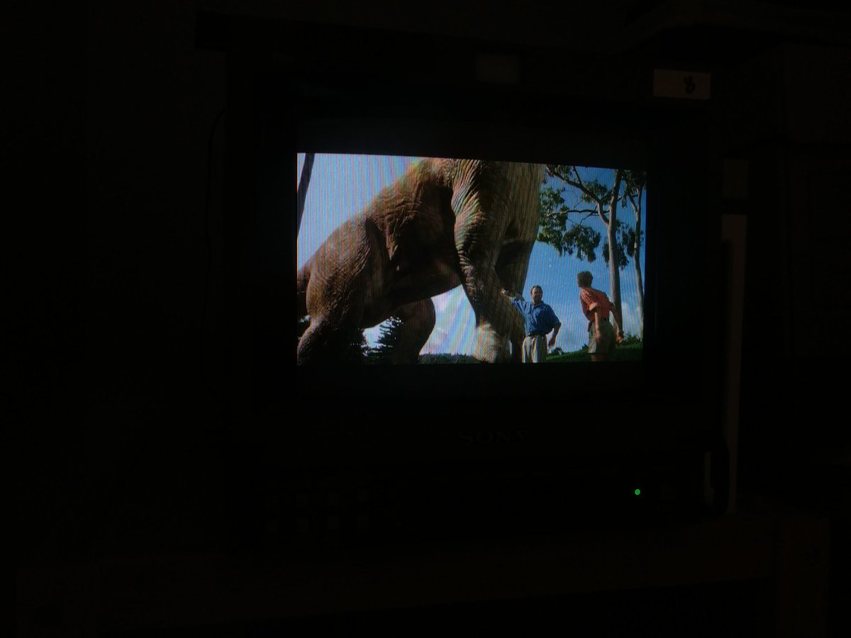 Not only are CRTs great for gaming, they also make all your DVDs look *beautiful.* There's something about the texture of low-res output that acts in concert with movie magic, especially for older SFF films, that HD is missing. I can't watch Jurassic Park in HD anymore.