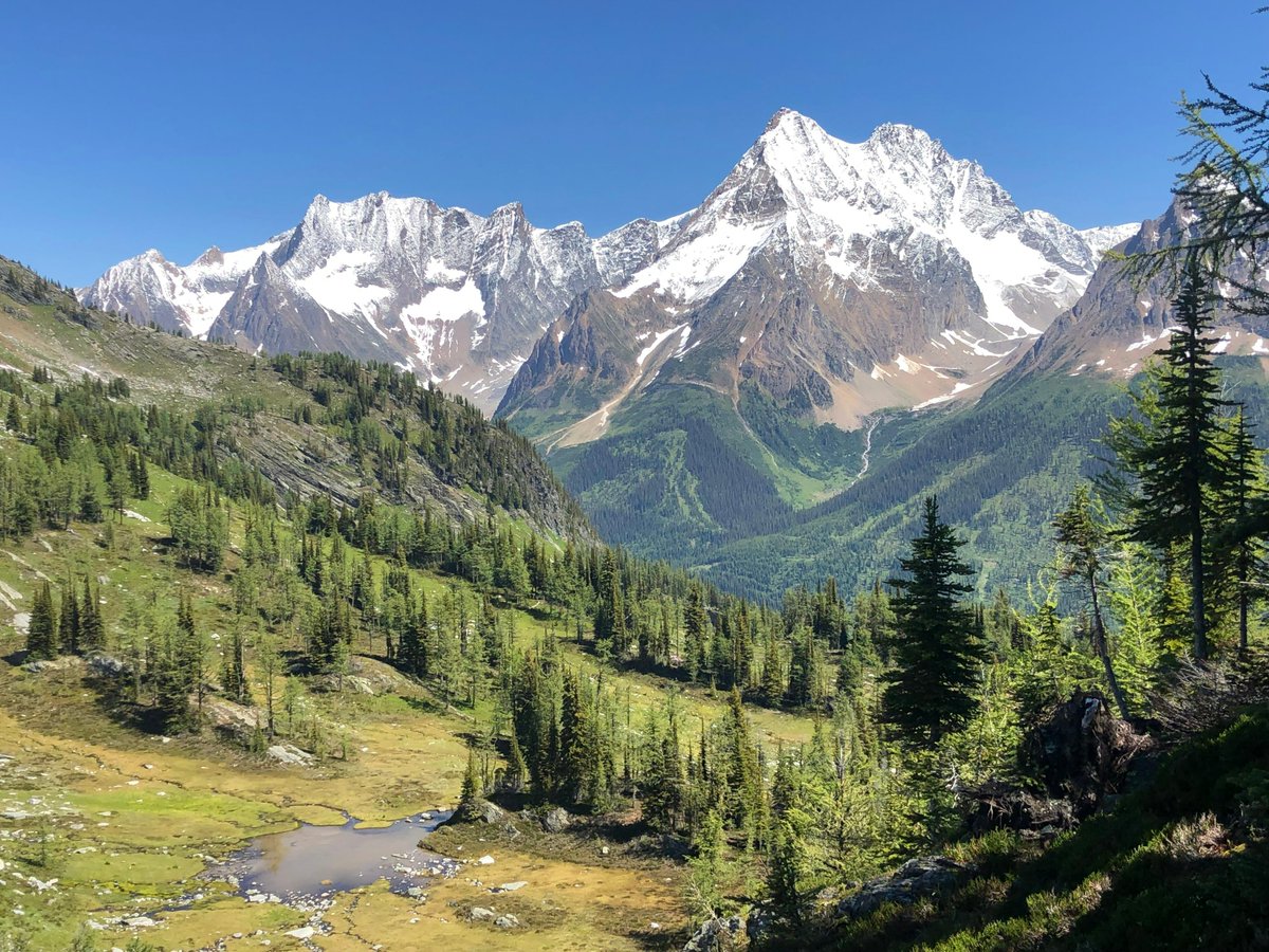 patagonia tweet picture