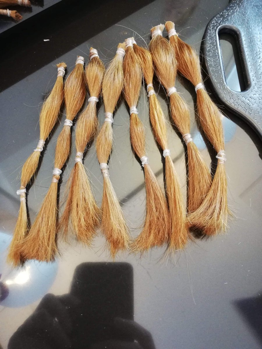 There it goes! 8 inches chopped off and ready to donate to the <a href="/LPTrustUK/">Little Princess Trust</a>! Very happy with my new hair and even happier that it is going to such a worthy cause! ❤😱💇‍♀️ #LittlePrincessTrust
