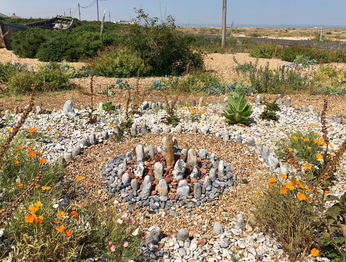 Dandelion_Sarah's tweet photo. Derek Jarman’s garden At Dungeness lives on https://t.co/QXWAqWGF9l