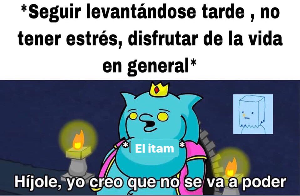 Hola, volví a esta cuenta
