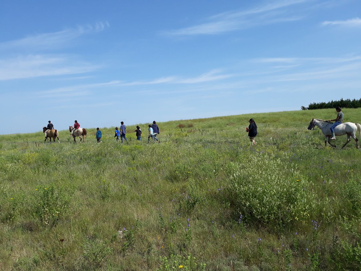 WicaAgli's tweet photo. Day 3 of our koskalaka /young men's camp. Today we focused on our connection to the world around us and the relationship we have with our grandmother the earth. The boy's also started to paint horse masks to honor their horse relatives.. https://t.co/QY5fcmrosH