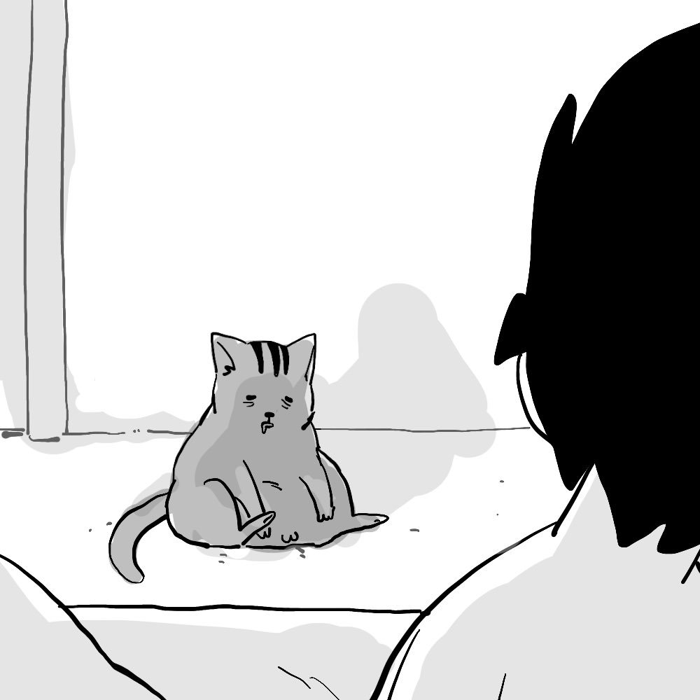 snail_png's tweet photo. i woke up from a hell nap and found my cat in the same situation https://t.co/9HIQFVZqYh
