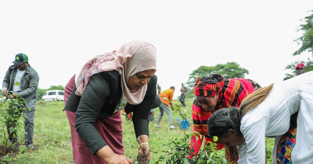 joannadillon's tweet photo. Ethiopian Prime Minister led country in planting over 350 million trees in a day to fight land degradation and climate change. Talk about many hands... https://t.co/ecV9cbn8og https://t.co/iIgEqeFLBA