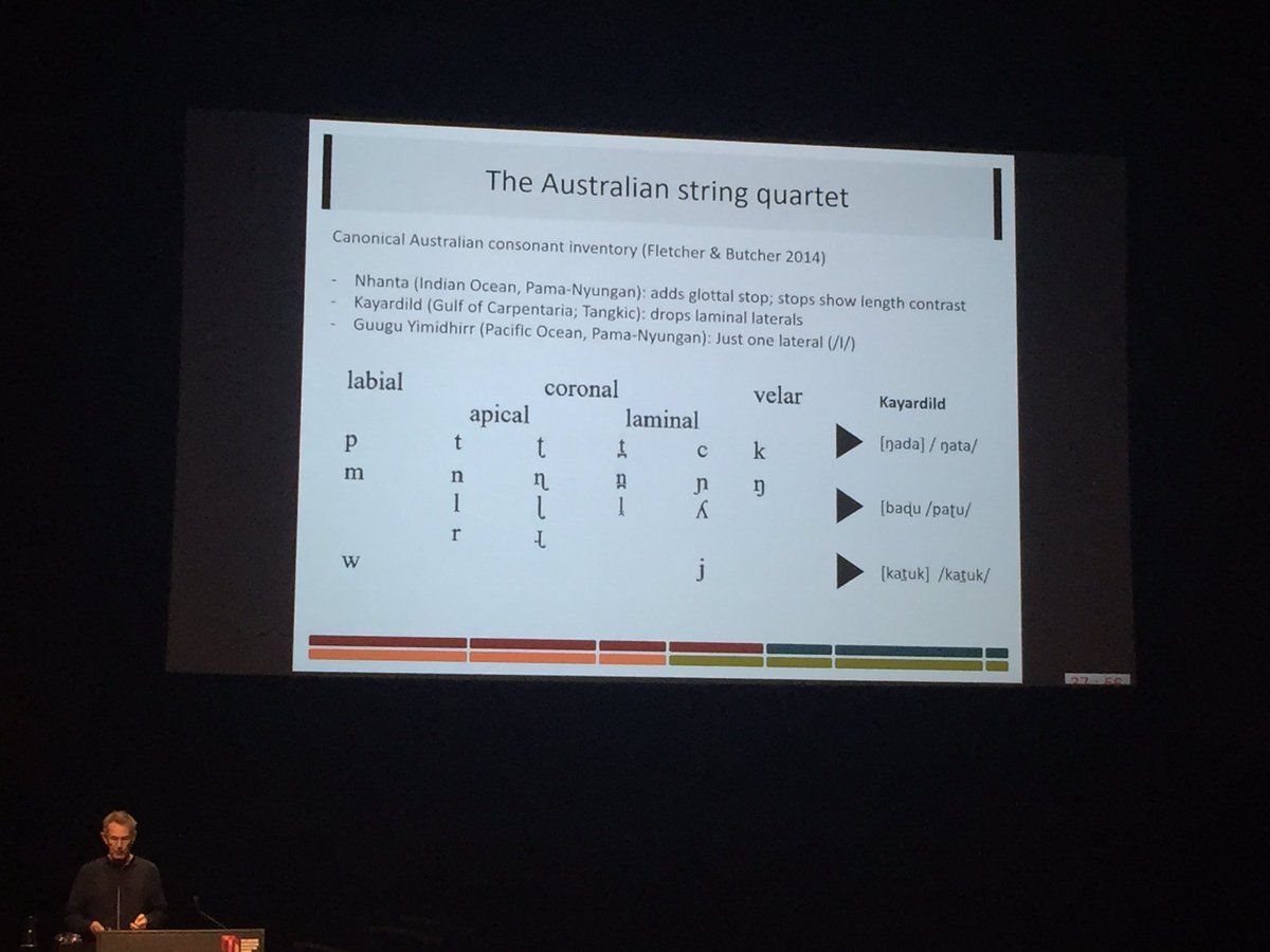 Nick Evans explaining the Australian String quartet vs. The Papua New Guinea symphonic orchestra :) #ICPhS2019