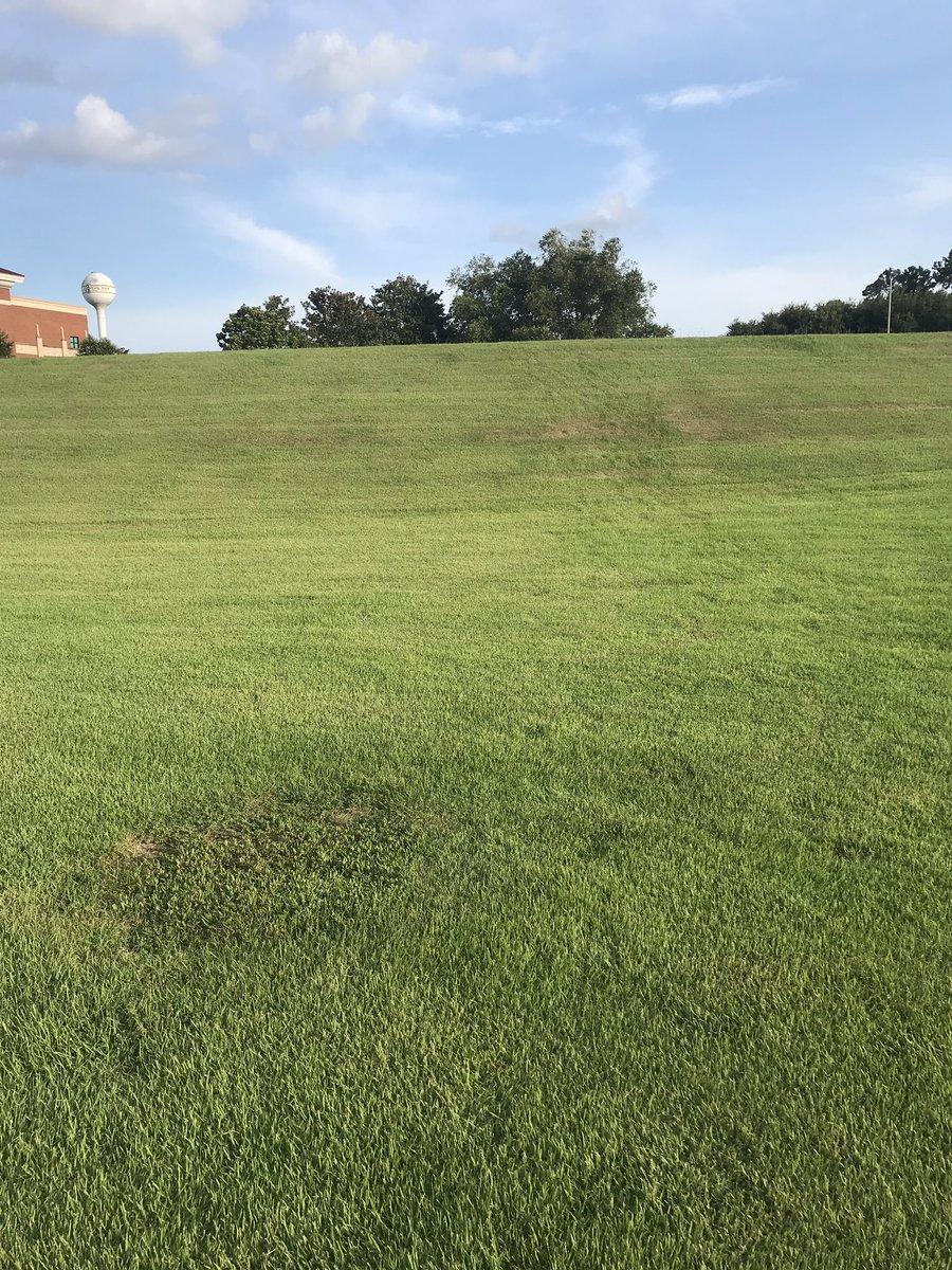 hmsowers1's tweet photo. I know @k1llakay &amp; @camdoubledeuce remember this hill!! 

#MindsetChanger 
#F2G https://t.co/OZJG1rgcw3